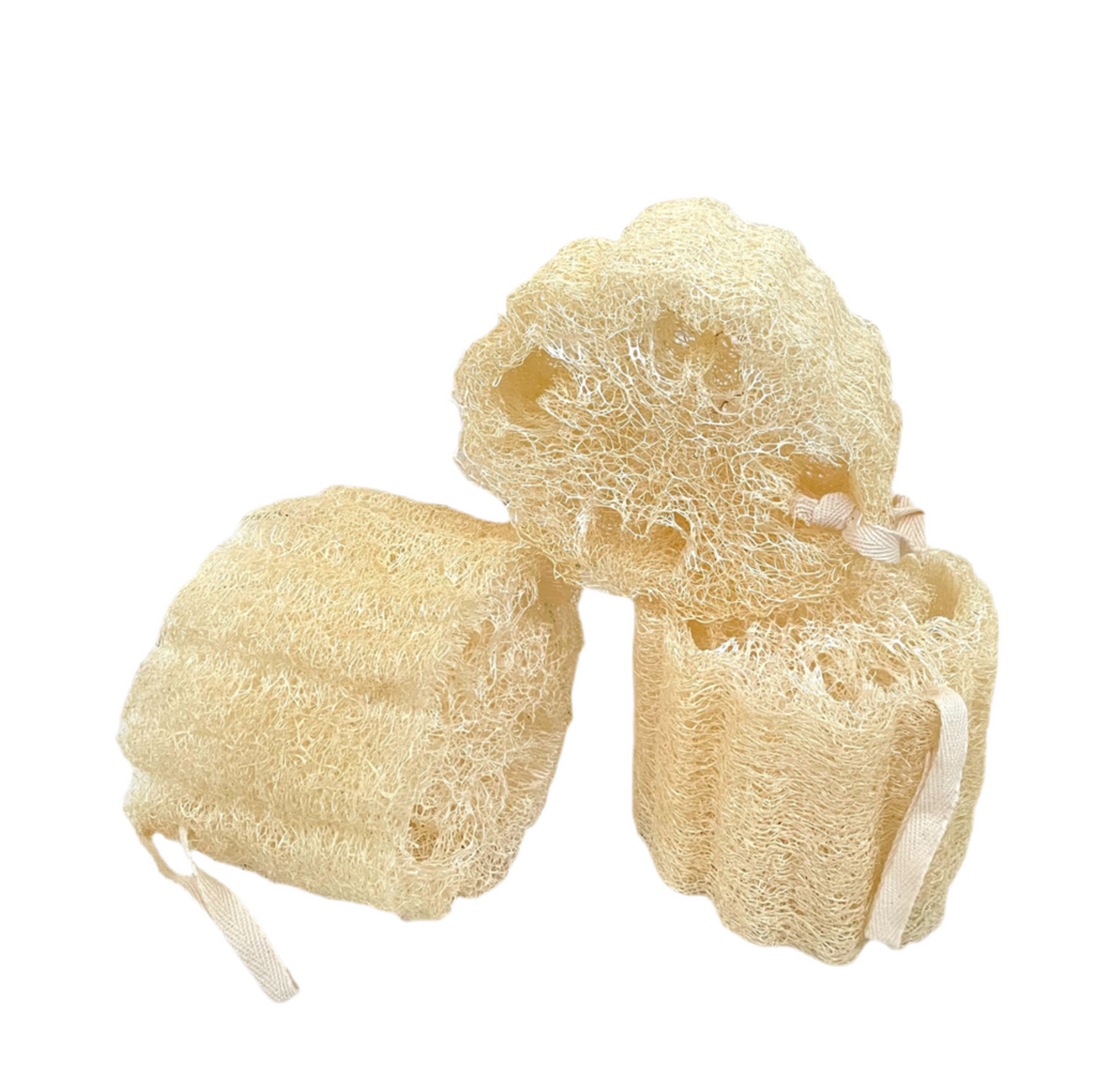 Ham Kabak Lifi (Loofah)