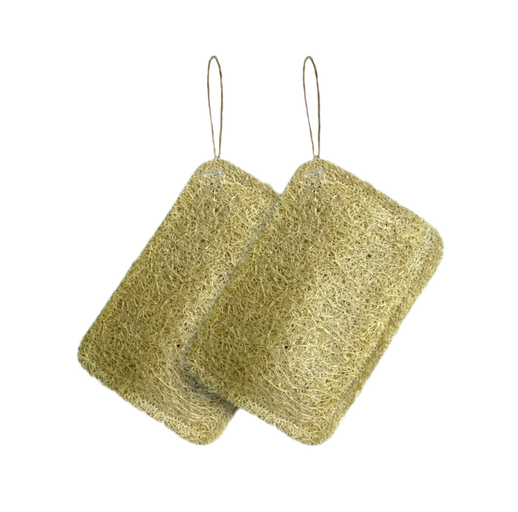 Bulaşık Lifi (Loofah)